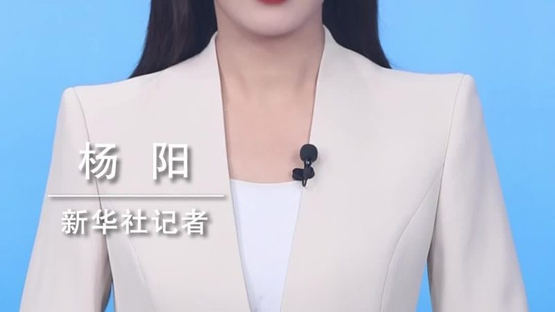 自建大数据分析工具：五大关键步骤详解